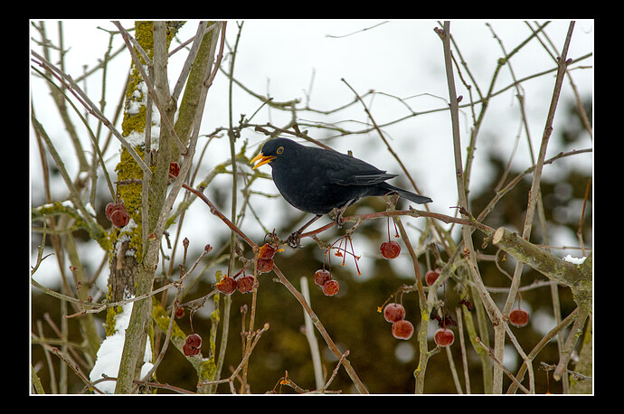 260127_110912_DSC08407