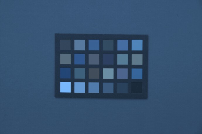SDIM1101-RAWcomposite