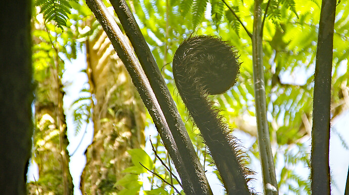 2023-09-27_13-40-10.14_DSC0620