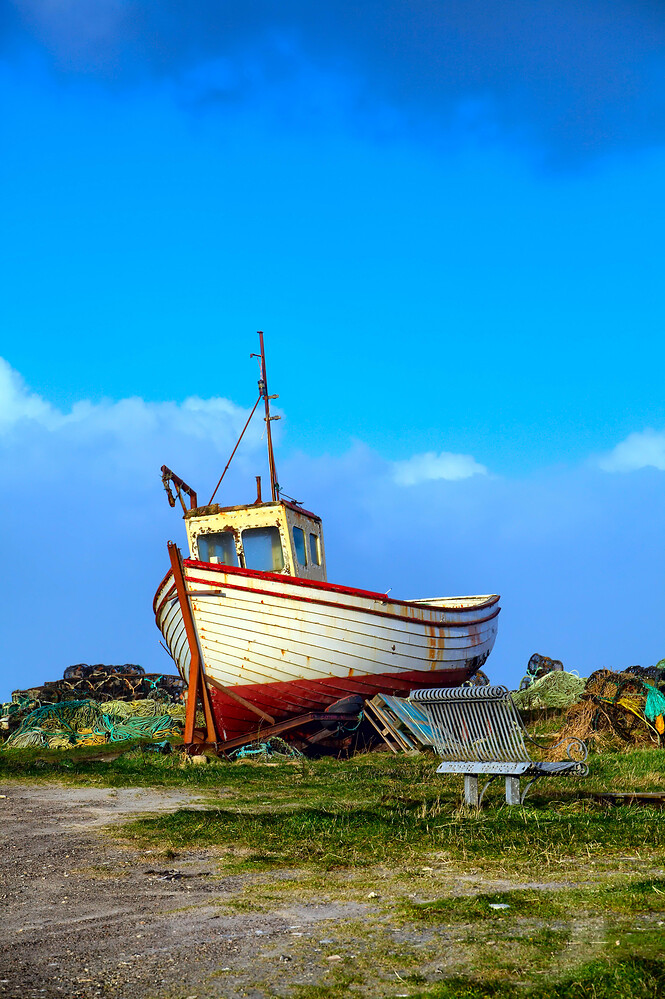 24-12-07-MG-3664-RawTherapee and GIMP (Jpegli)