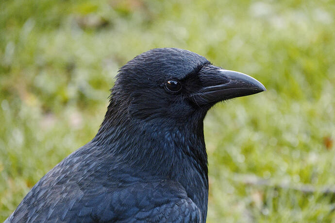 20251012_085551_DSCF0948