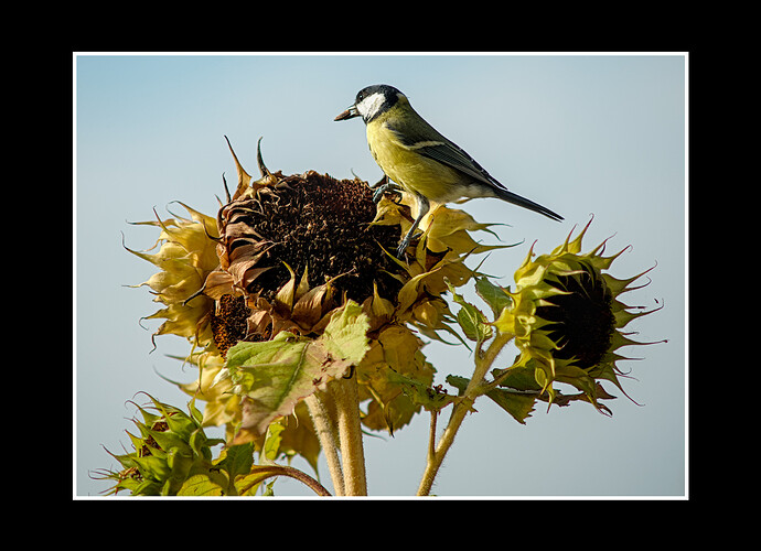 260912_095523_DSC08084_01