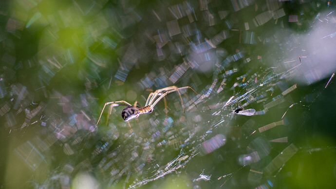 2023-05-23__DSC05176