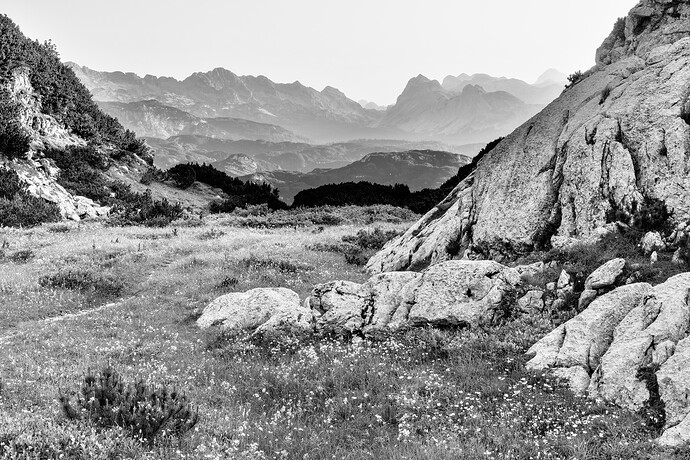 2022-06-28-DSCF0319 BW