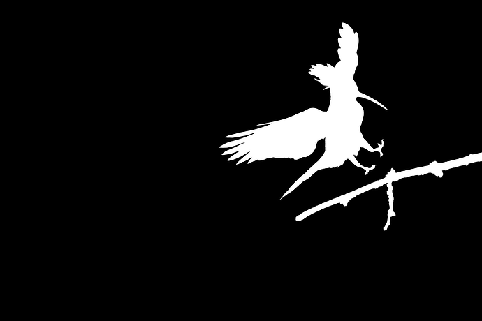 Canon EOS R1 _08A4344 20250602