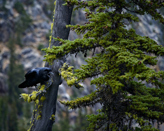 251010_A7C00137E_01RS