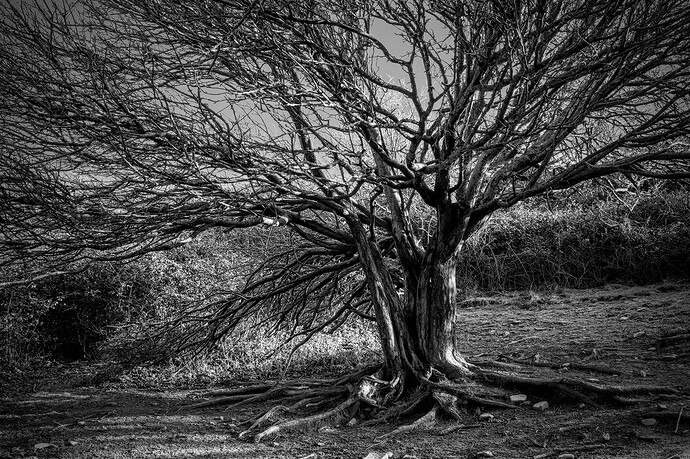 2022-01-31-11.58.58.0