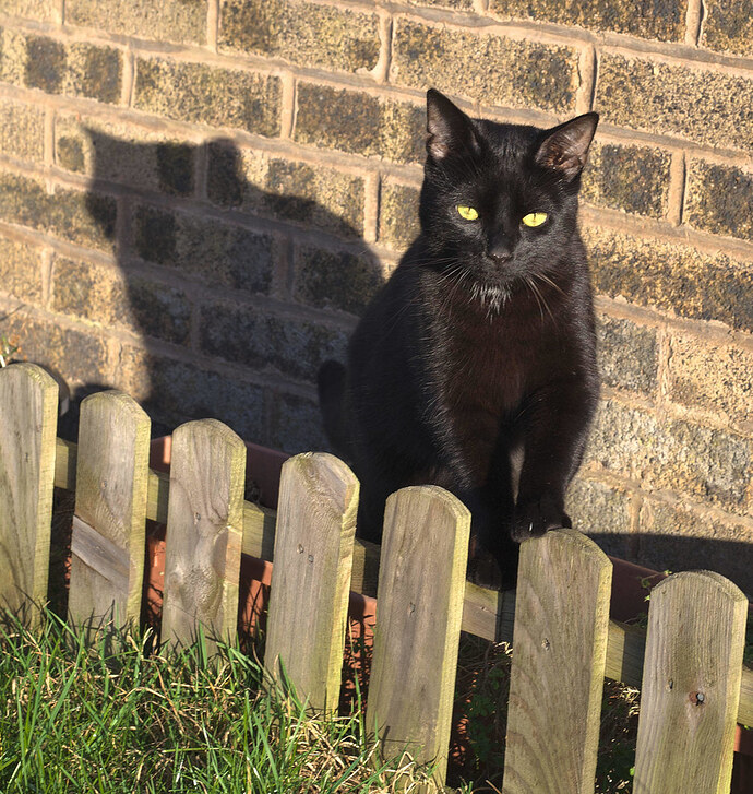 54403099970_82520e0015_b