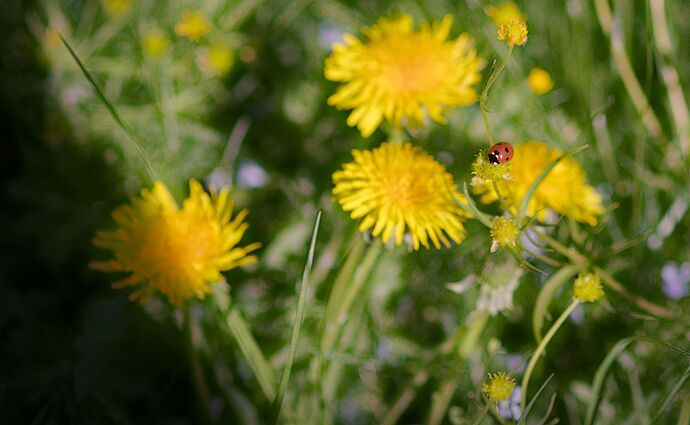 260501_175610_DSC00946_01