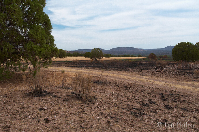 20110601-IMG_4884