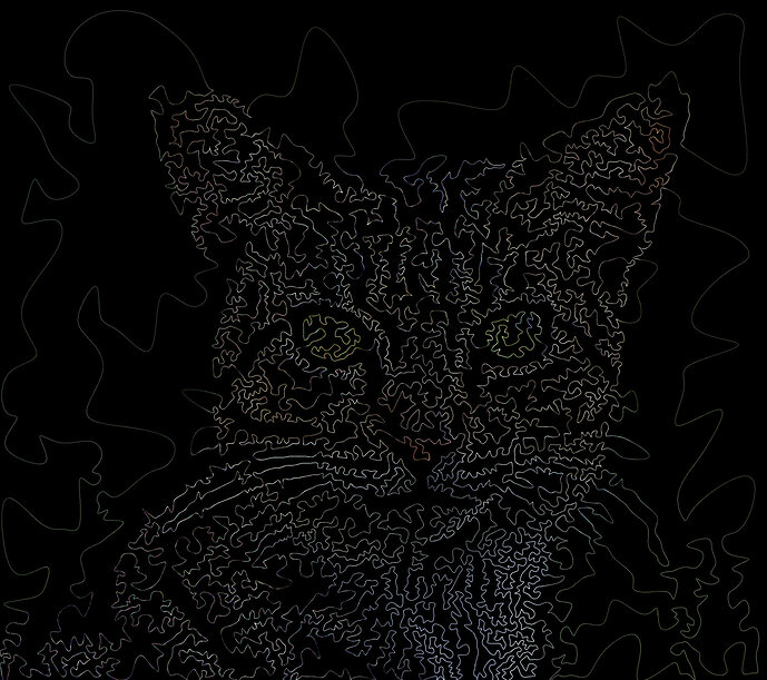stringy_cat