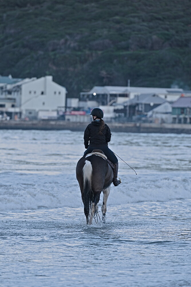 Beach - DSC_6172