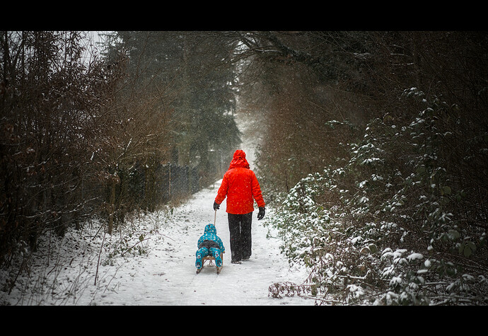 260103_161515_DSC08235