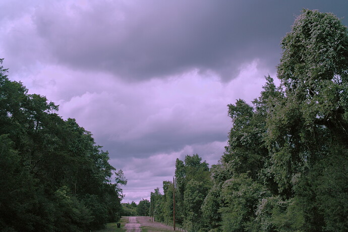SDIM0790