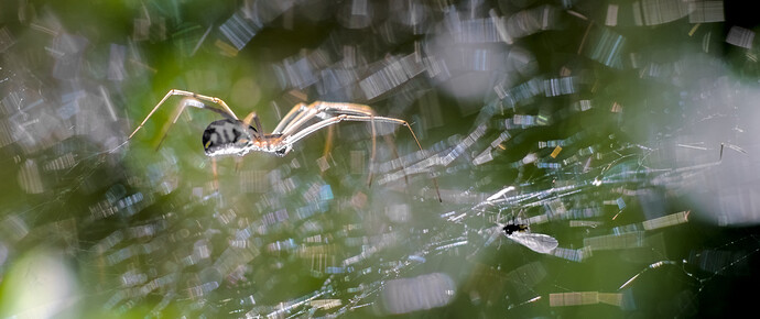 2023-05-23__DSC05176