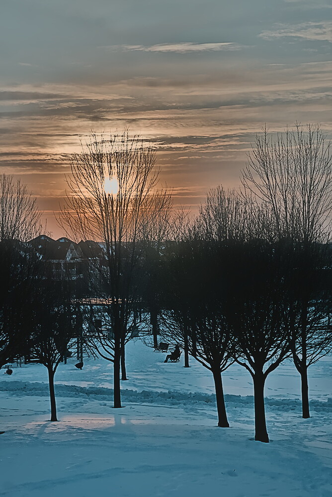 Toronto - Snow and Sunset - DSC07541-2026.02.02