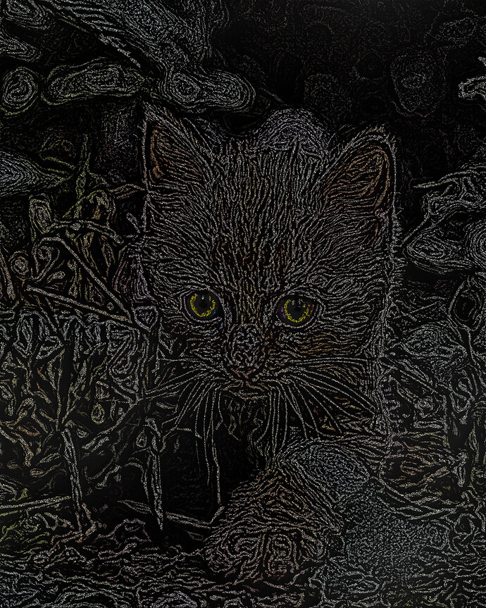 chalked_kitty