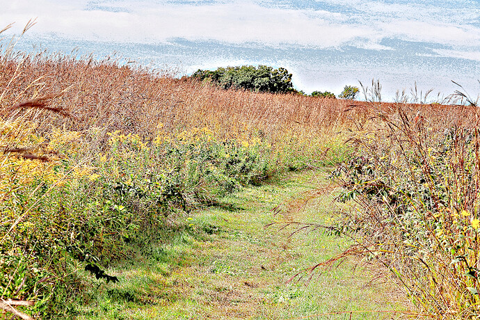_MG_0672sm