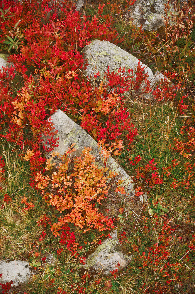 20250913_2025-09-13 nendaz_0091