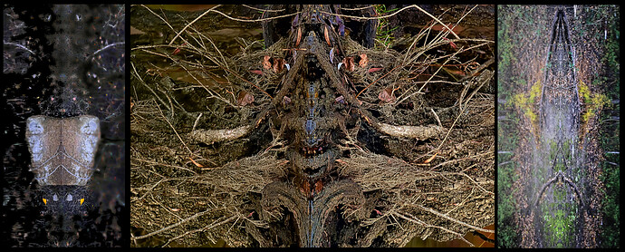 TheGhostsThatHauntMe