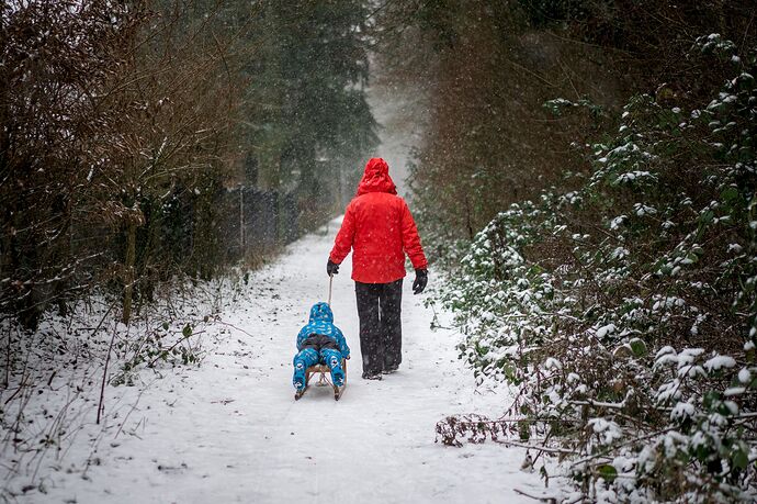 260103_161515_DSC08235