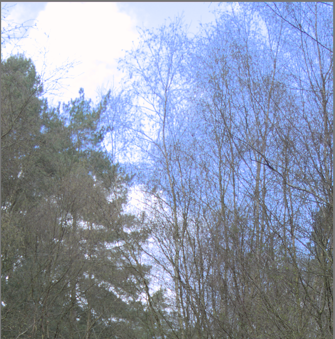 Screenshot_20230415_164217