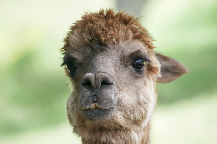 2016-04-15_12-48-31DSC_2332