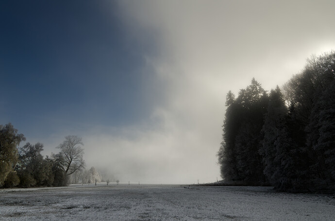 2024-01-14_14-03-19_DSC_0054