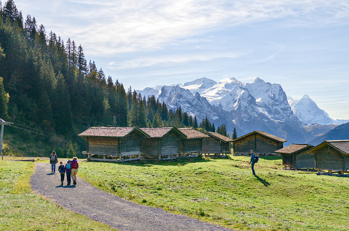 2020-10-08_14-18-53_DSC_0109