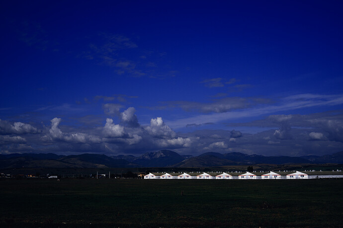 9_velvia