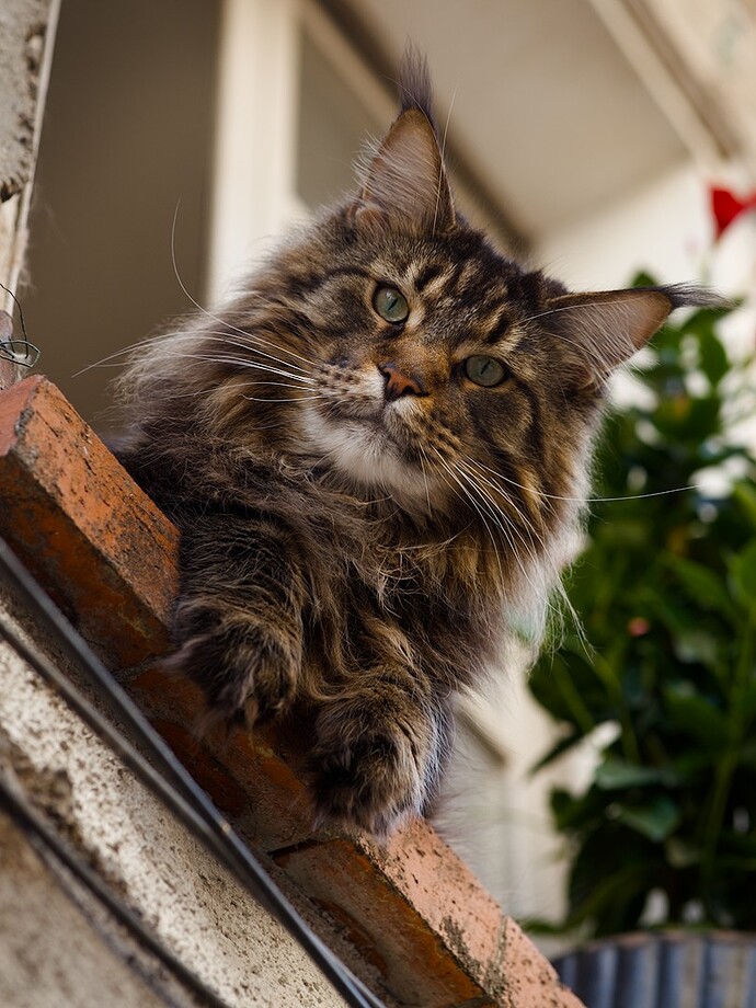 2026-04-19T15-05-36_IMG_2600_dt