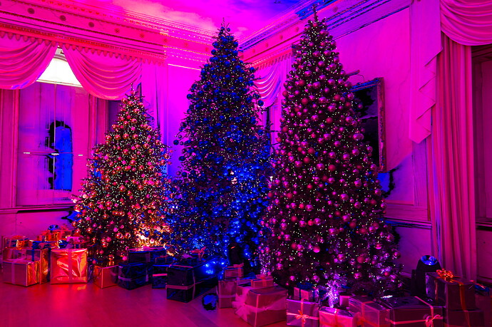 MottisfontDSCF1491_01