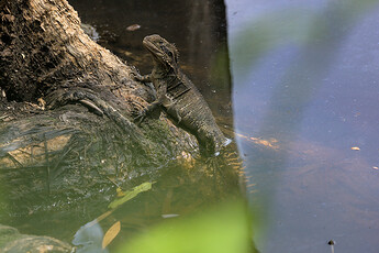 2022-01-25_12-58-48.53_DSC6109