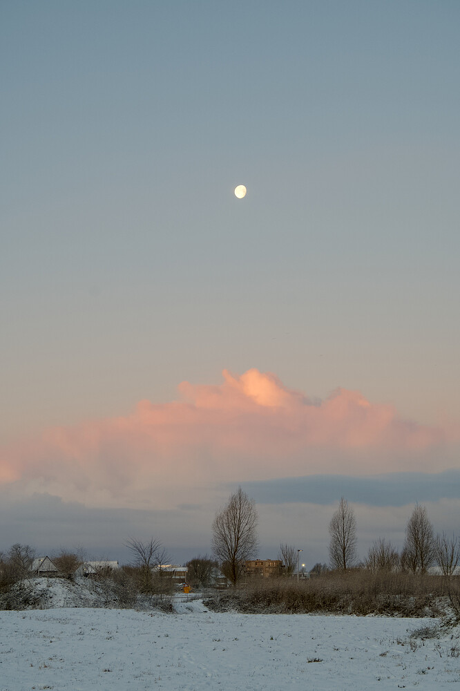 20260106-084553-DSC_2108