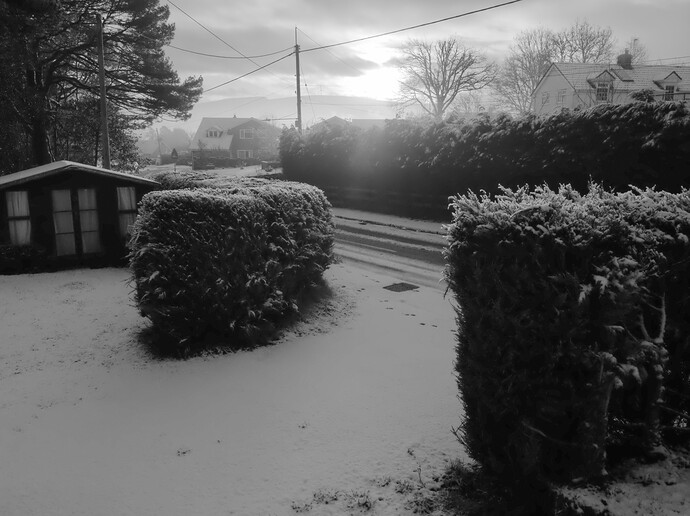 _1240012-GIMP Lab_BW