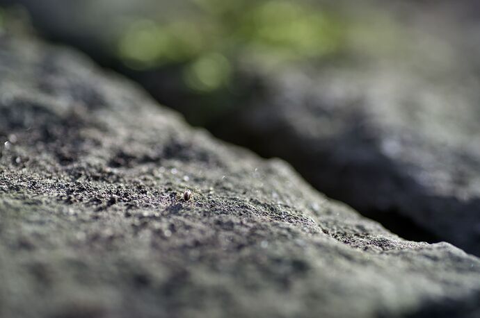 260228_164815_DSC08920