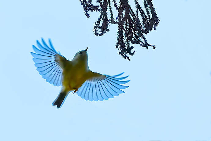 IMG_2026-01-12_12-17_0139_03