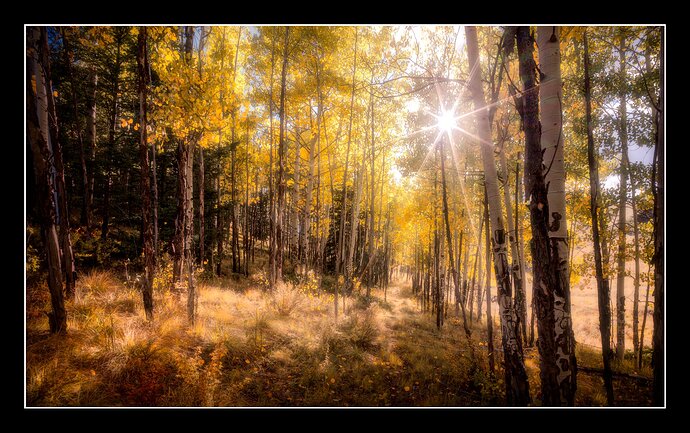 B0001474