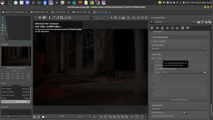 Screenshot from 2025-07-27 16-42-03