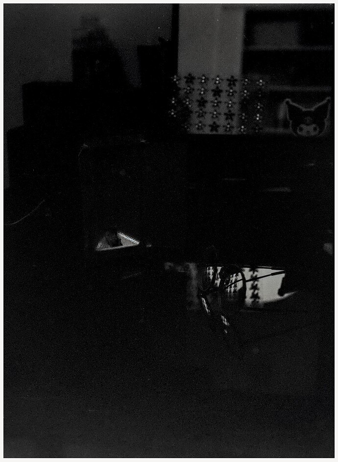 24-11-22_24-12-31_HexaMono400_OlympusPenF_21