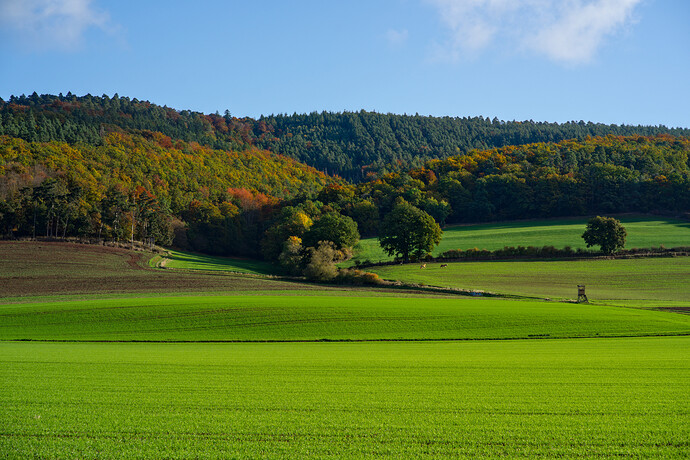 251018_094402_DSC05235-3