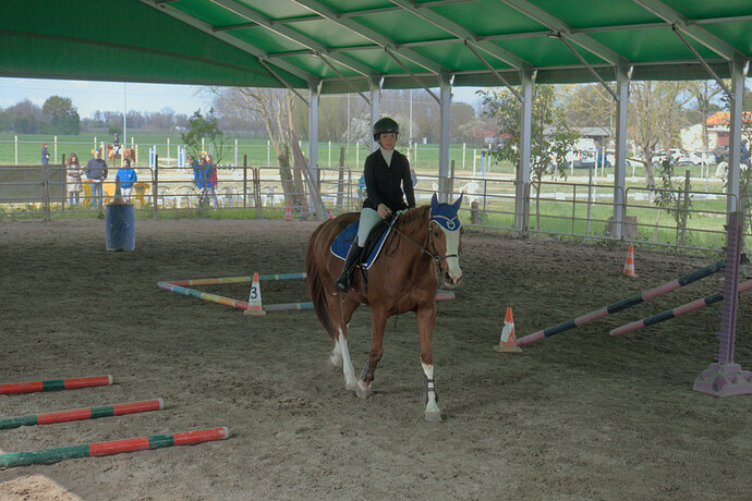 IMG_6624 Bitless_I_2023_1