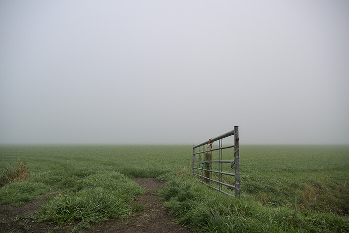 20251107-082341-DSC_0899