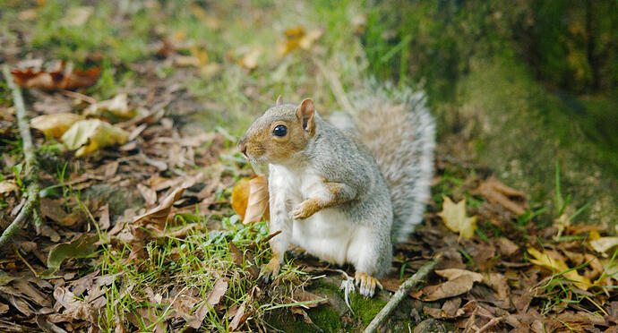 20251010_095947__DSF3668