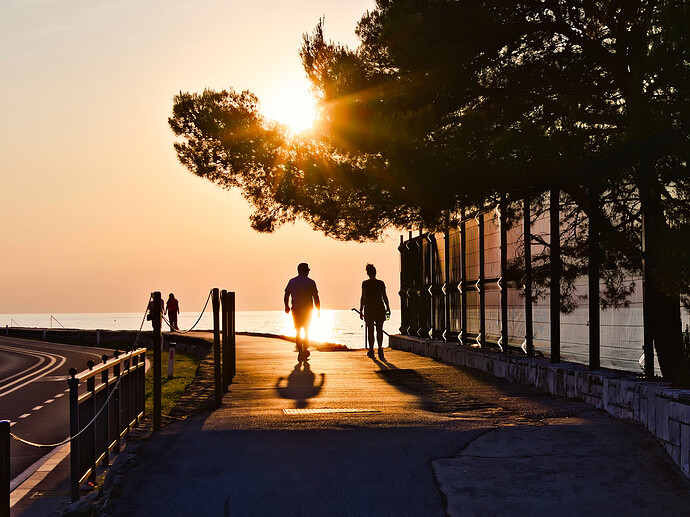 _MG_1660 ART and GIMP (jpeg-li)