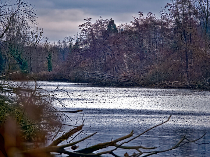 PC140653 ART and GIMP 3.2RC2 (jpeg-li)