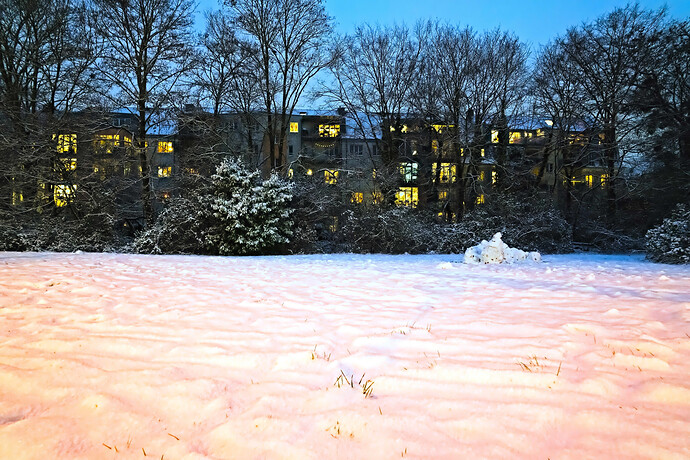 DSC07727 RawTherapee and GIMP (1)