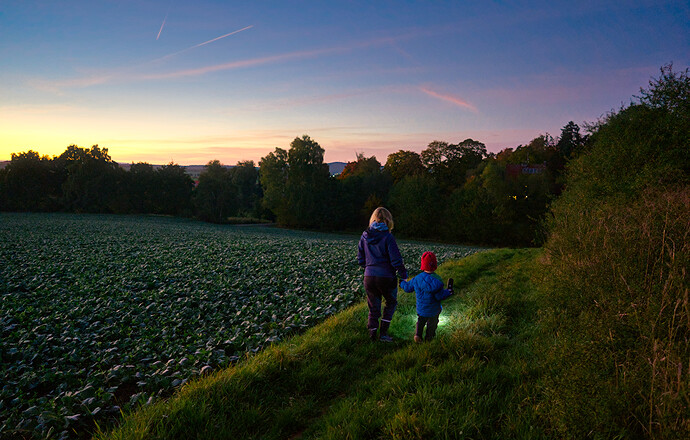 251013_190715_DSC05225