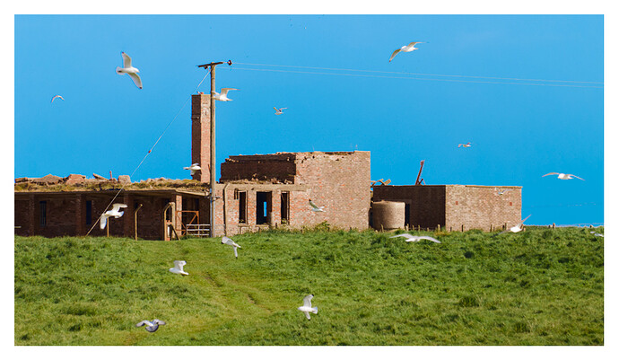 20250523-1716-9868_2