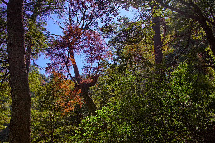 E5Dii252_2021_12_04_1546-GIMP-LAB2